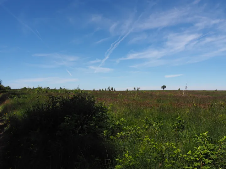 Signal de Botrange (België)